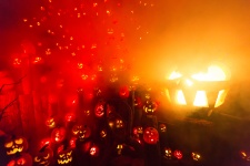 Many Jack O Lanterns