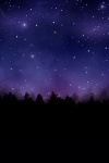 Noční obloha Pines