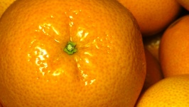 Orange Fruit Clementines
