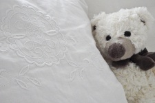 Ours en peluche en peluche avec oreiller