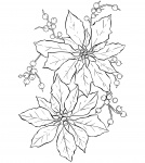 Poinsettia Línea arte de la flor