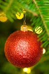 Babiole rouge sur un arbre de Noël