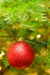 Babiole rouge sur un arbre de Noël
