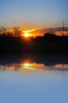 Reflecting african bush sunset