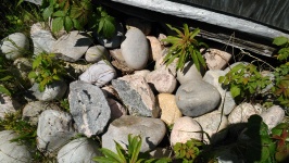 Dzikie skały (1)