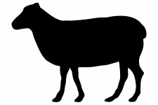 Sheep Silhouette Preto
