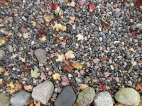 Kleine und große Steine