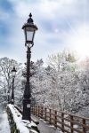 Snowy Street Lamp