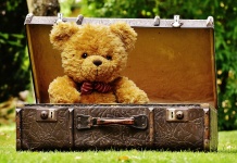 Urso de peluche na bagagem