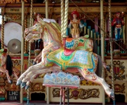 Vintage Carousel Horse Ride