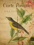 Cartão do pássaro francês do vintage