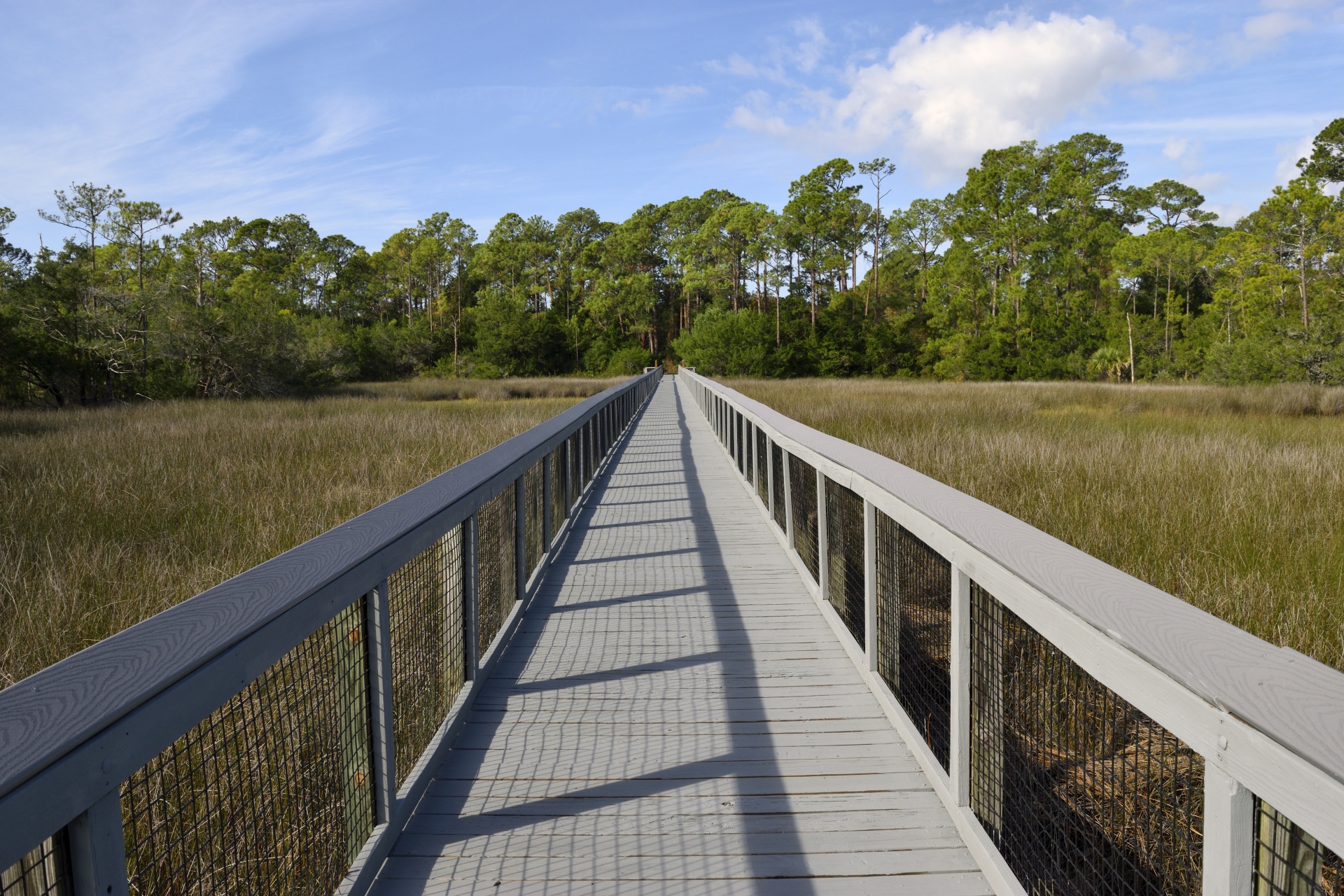 Board Walk At Marshland Free Stock Photo Public Domain Pictures