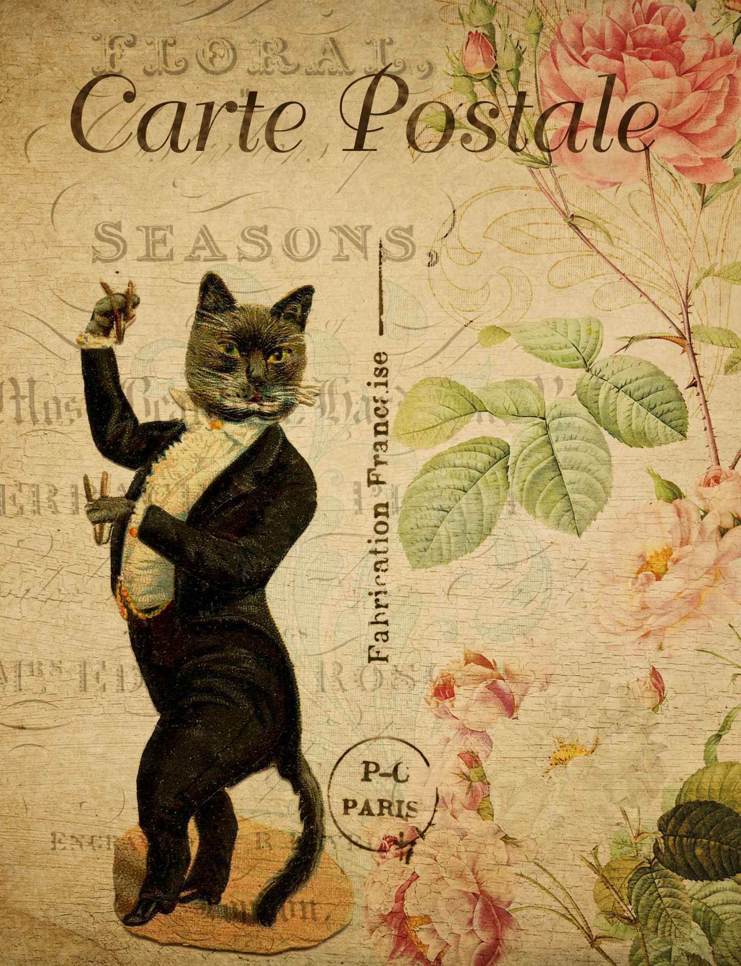 Cat Dancing vykort Vintage