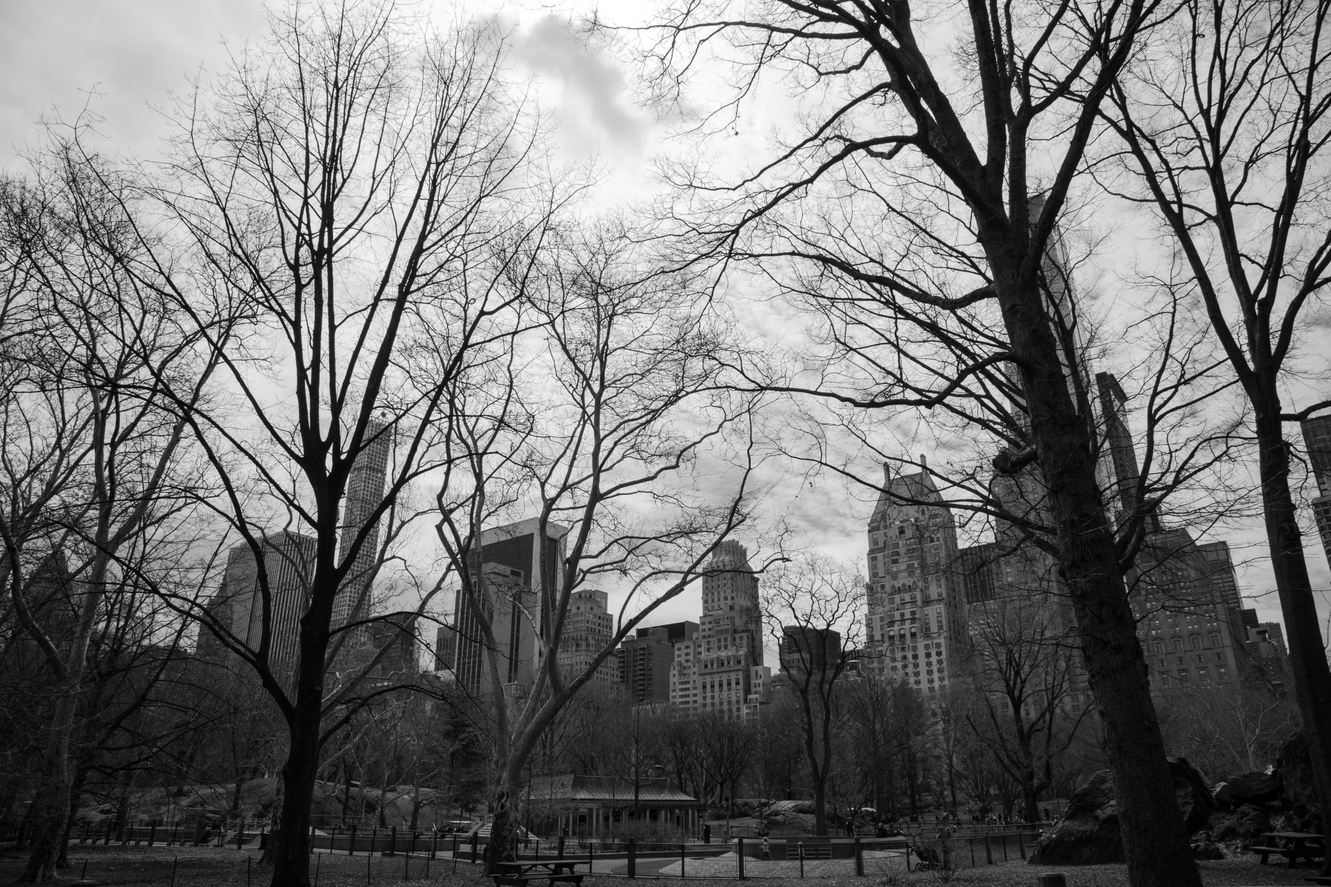 central-park-nyc-free-stock-photo-public-domain-pictures