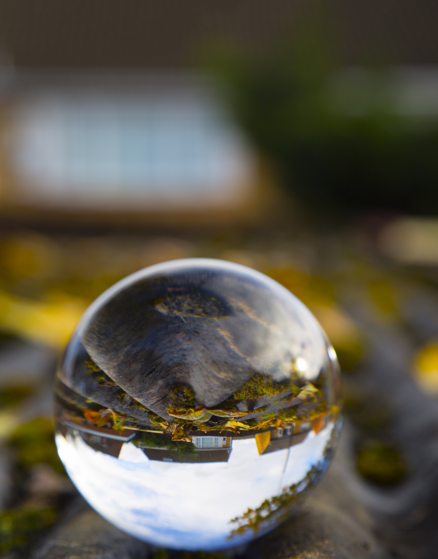 crystal-ball-free-stock-photo-public-domain-pictures