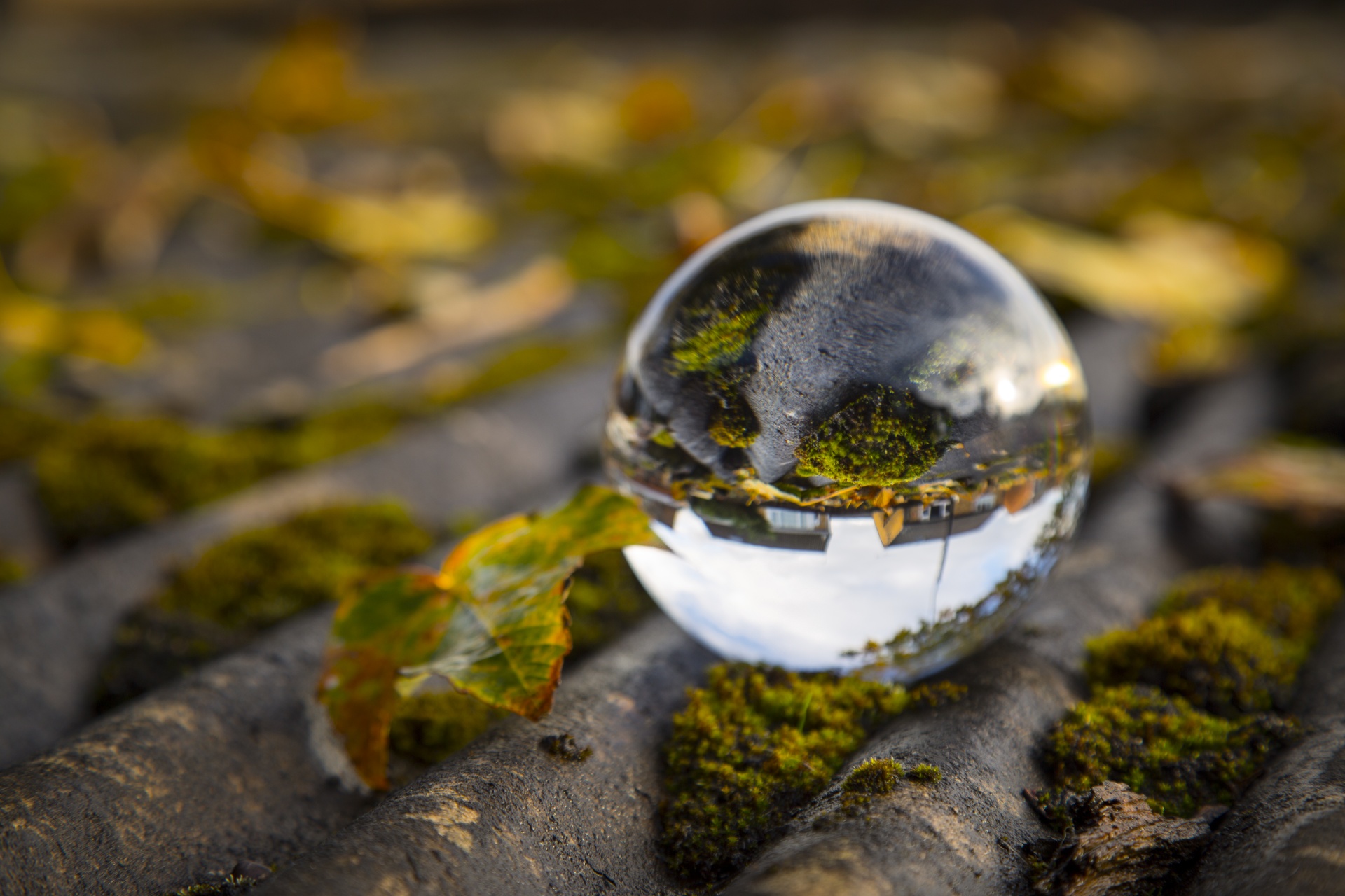 crystal-ball-free-stock-photo-public-domain-pictures