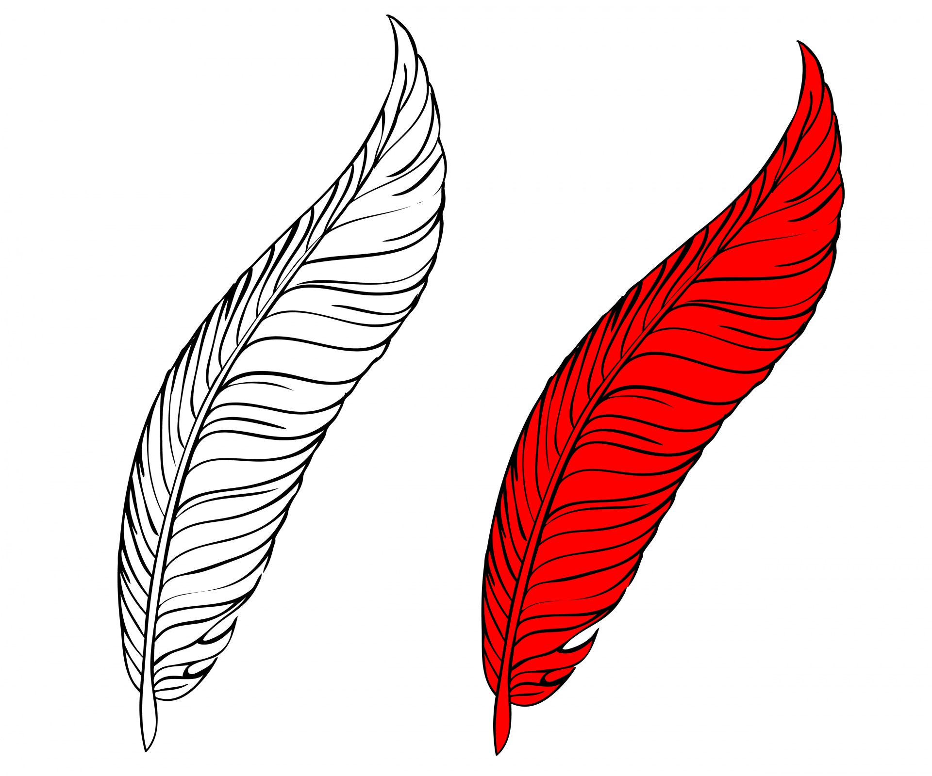 Feather Coloring Page For Kids Free Stock Photo Public Domain Pictures