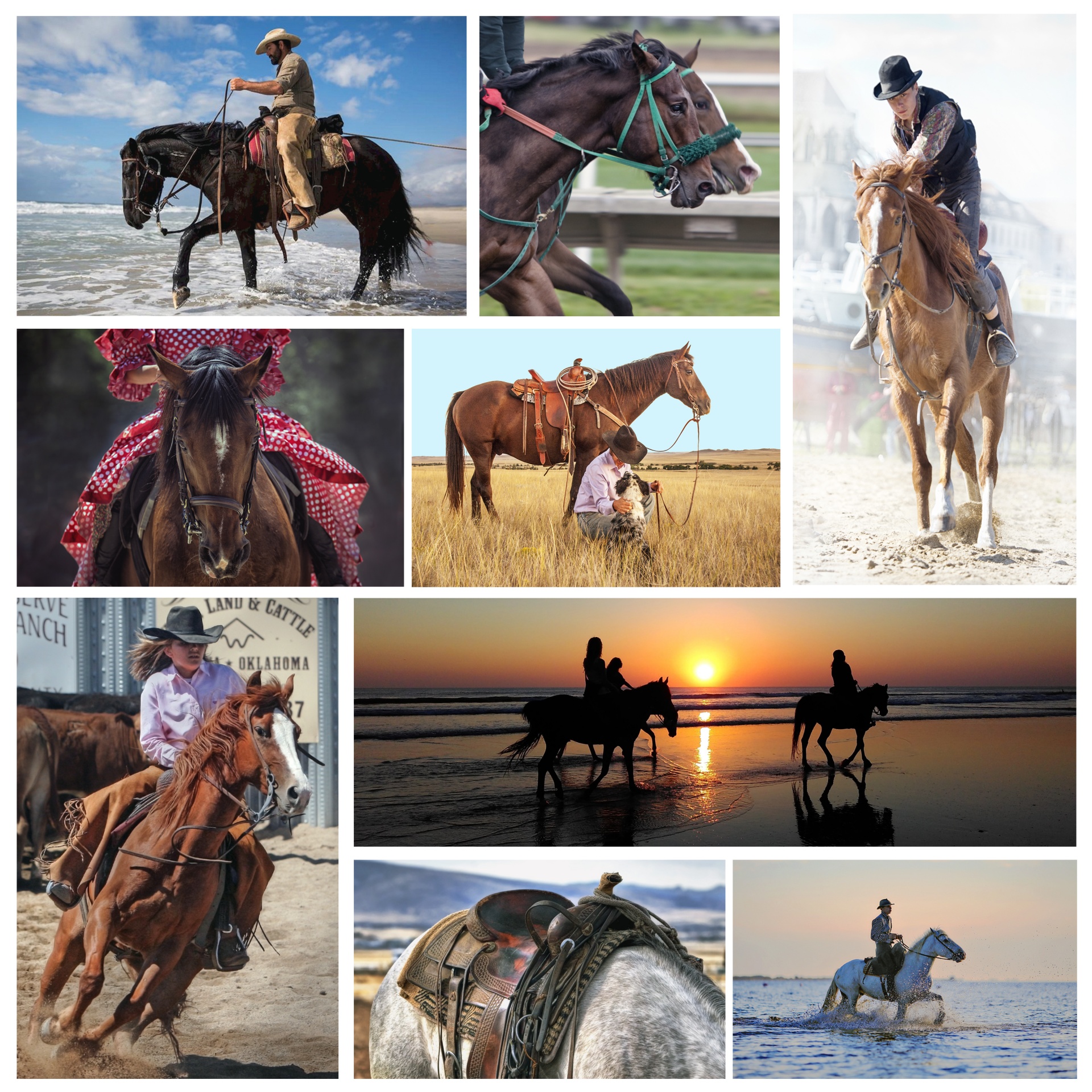 Horses And Riders Wallpaper