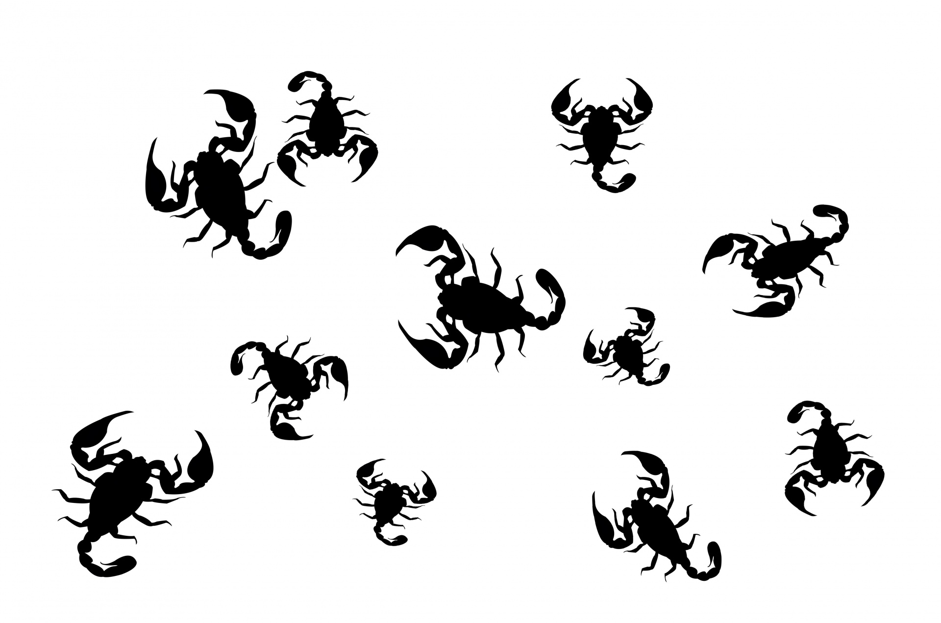 怎样素描画蝎子,一步一步画蝎子素描,怎样素描画蜘蛛_大山谷图库