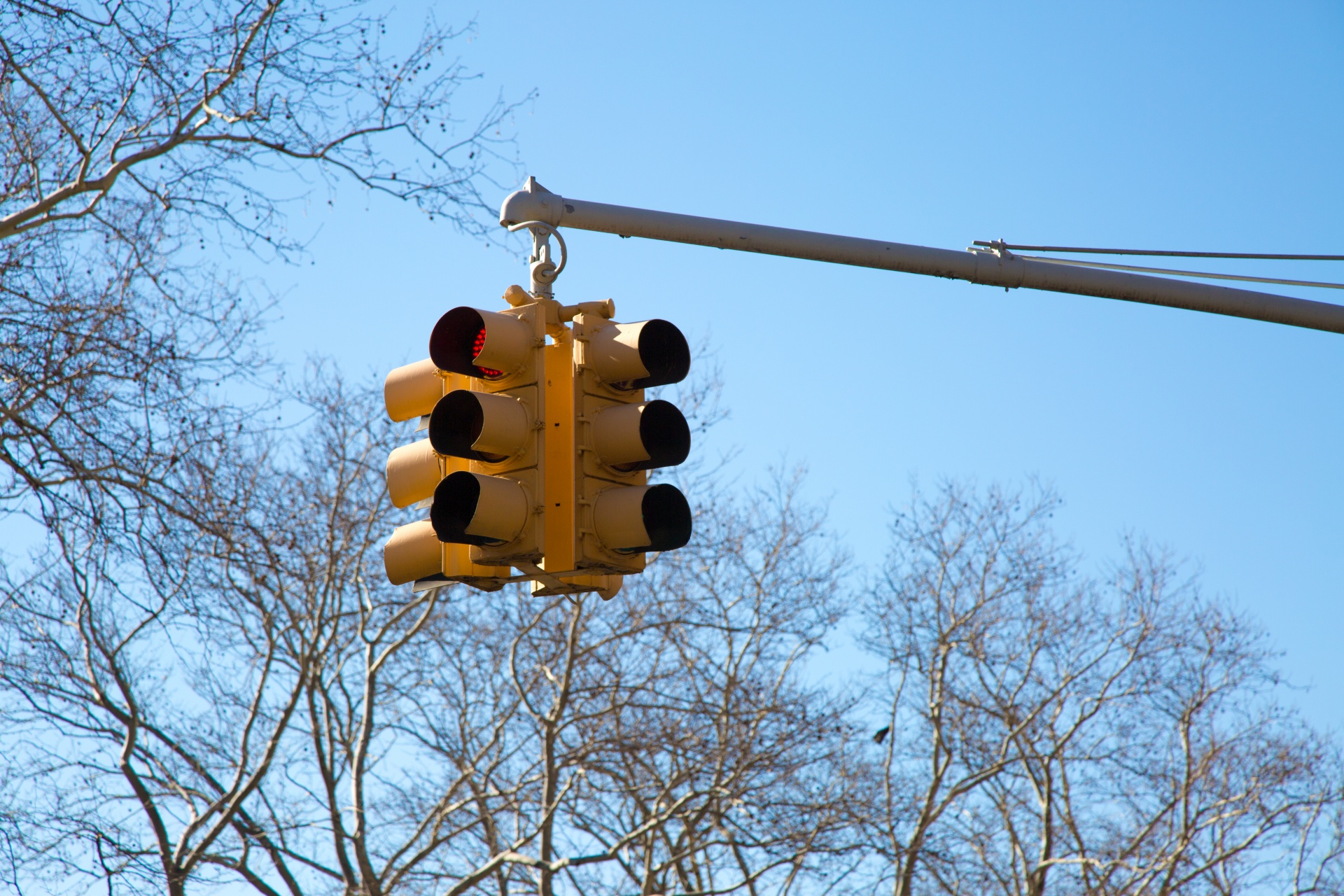 traffic-light-free-stock-photo-public-domain-pictures