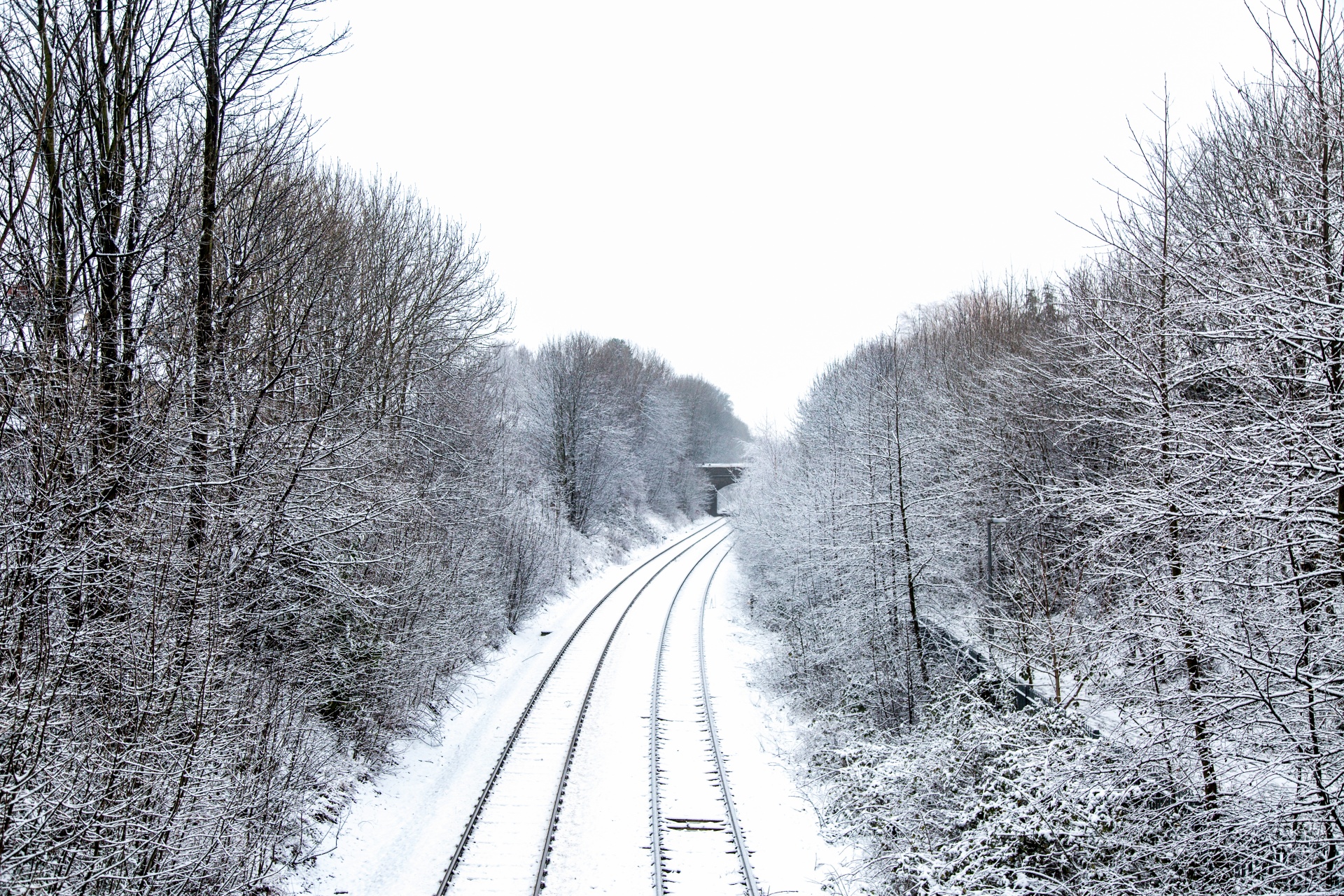 train-tracks-in-winter-free-stock-photo-public-domain-pictures