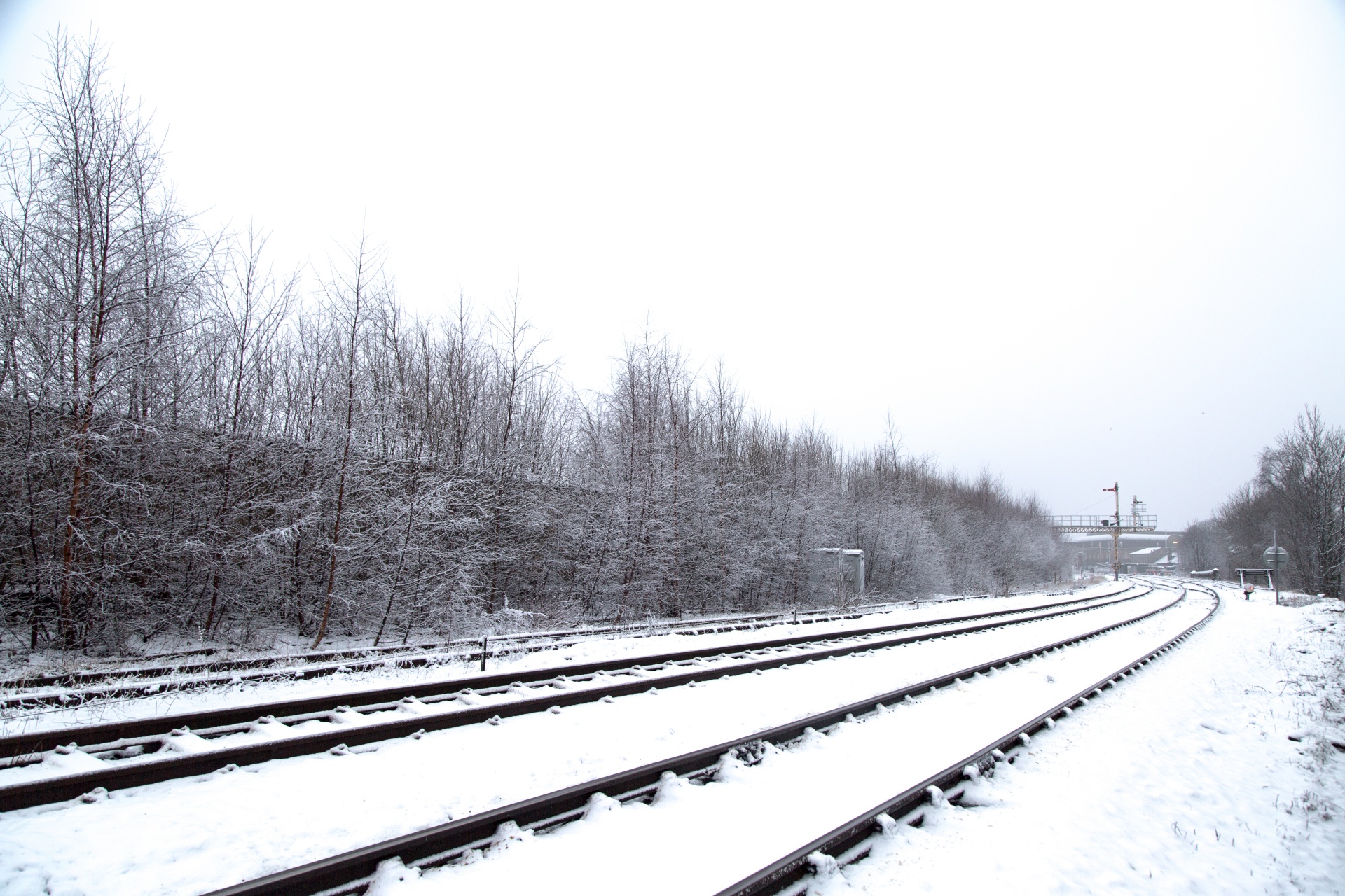 Train Tracks In Winter Free Stock Photo Public Domain Pictures