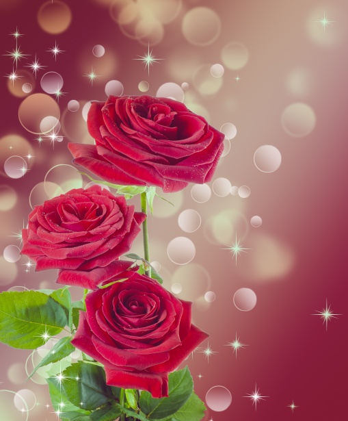 Bouquet Of Red Roses Free Stock Photo Public Domain Pictures