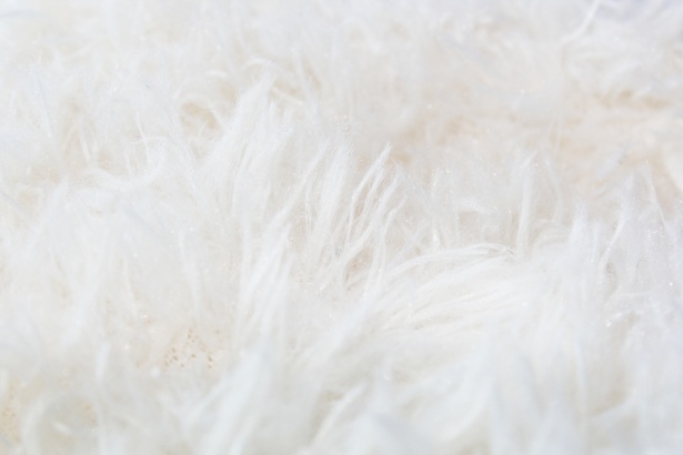 Download free photo of Fur,background,wallpaper,large,object - from