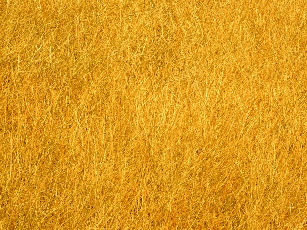 Yellow Texture Background Free Stock Photo - Public Domain Pictures