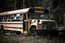 заброшенный школьный автобус