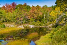 Acadia водно-болотные угодья