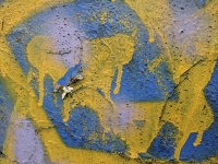 Blue and Yellow Graffiti