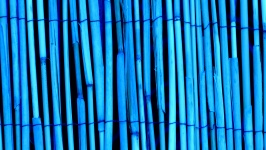 Niebieski Bambus Drewno tekstury tła