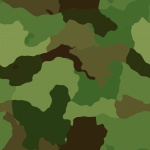 Camouflage wzór