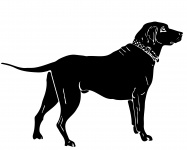 Dog, Labrador Silhouette