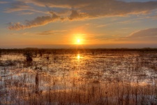 Everglades słońca