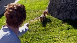 Feeding the Squirrel