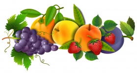 Grupa owoce