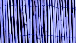 Lilac Bamboo Wood Background