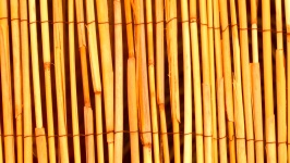 Orange Bamboo Wood Background