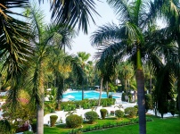 Palm Trees Resort