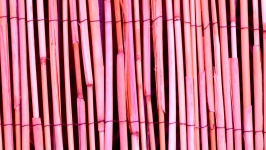 Pink Bamboo Wood Texture Background