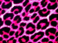 Pink Leopard Skin Background