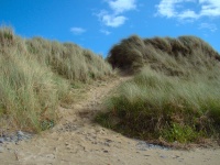 Raccourci à travers les dunes