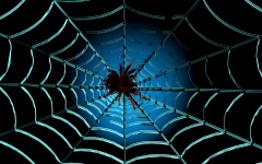 Spindel i nätet