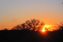 Sunset in africa