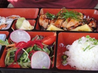 Sushi-Bento-Box