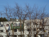 Árbol en frente de complejo de apartamen