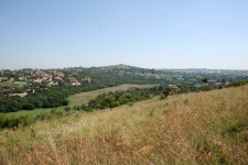 View of suburbia from sloping hill
