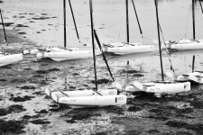 Sailboats Catamarans